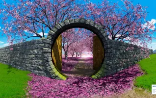 Internationale Studie an der PFH