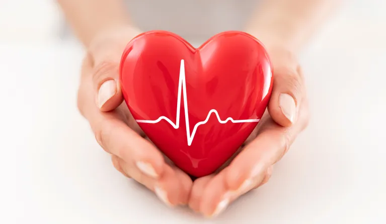 PFH Studie Prof. Dr. Quirin